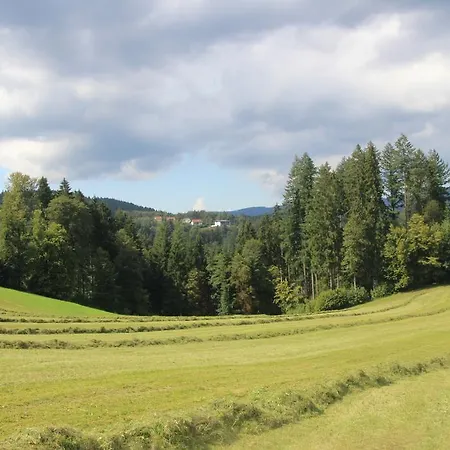 Hotel Hotel Schloss Silberberg 3*