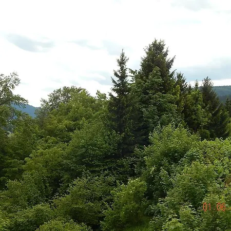 Otel Hotel Schloss Silberberg Baiersbronn