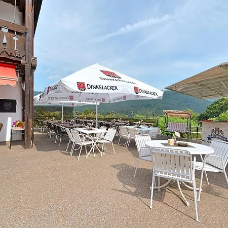 Hotel Schloss Silberberg 3* Baiersbronn