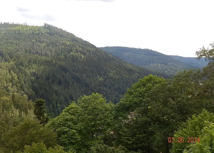 호텔 Schloss Silberberg 바이에르스브론