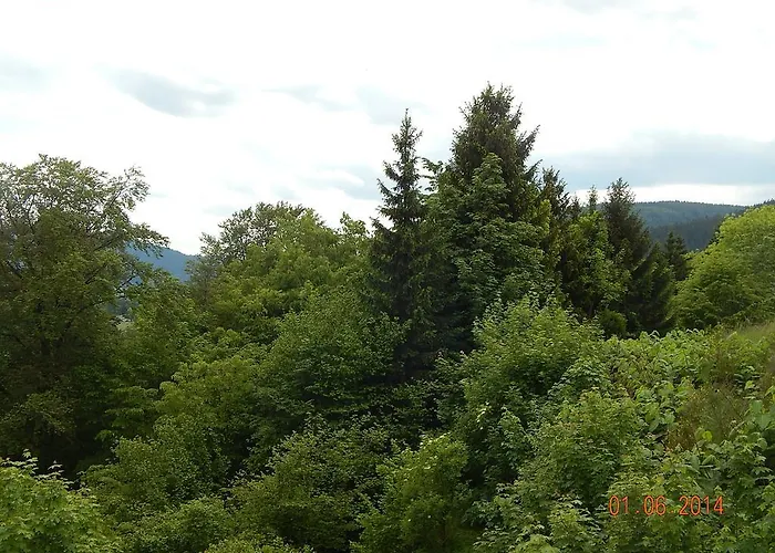 호텔 Schloss Silberberg 바이에르스브론