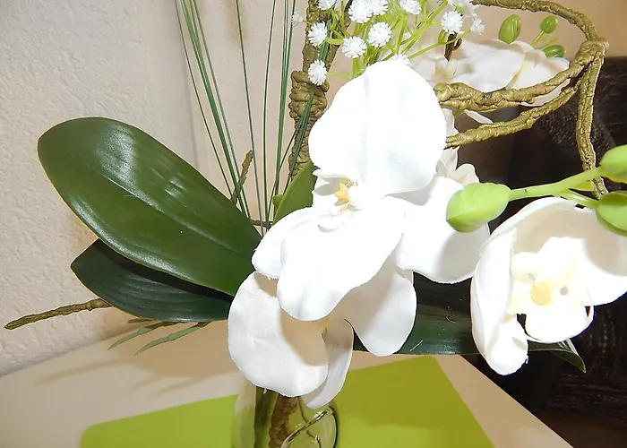 호텔 Schloss Silberberg 3*