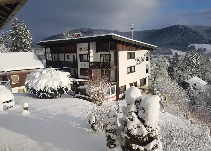 호텔 Schloss Silberberg 바이에르스브론